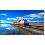 DAHUA 65'' Wall-mounted Digital Signage (LDH65-SAI400K)