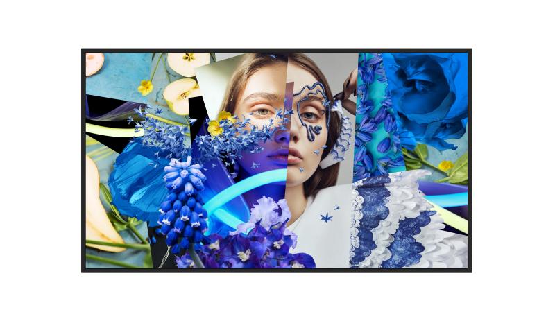 HIKVISION 65-inch Slim Digital Signage (DS-D6065UN-DP)