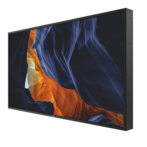 PHILIPS Signage Solutions Afişaj H-Line (55BDL3002H/00)