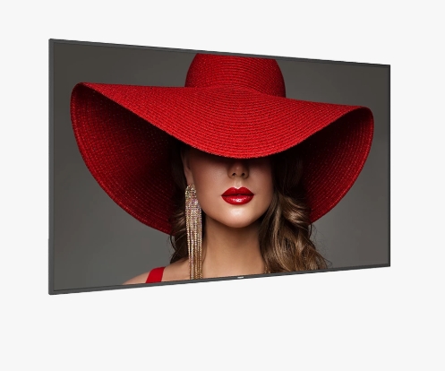 PHILIPS Signage Solutions Afişaj D-Line (98BDL4650D/97) - imagine 2