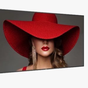 PHILIPS Signage Solutions Afişaj D-Line (86BDL4650D/00)