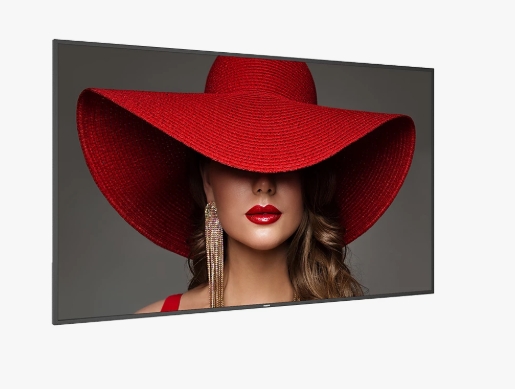 PHILIPS Signage Solutions Afişaj D-Line (75BDL4650D/96)