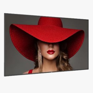 PHILIPS Signage Solutions Afişaj D-Line (75BDL4650D/97)