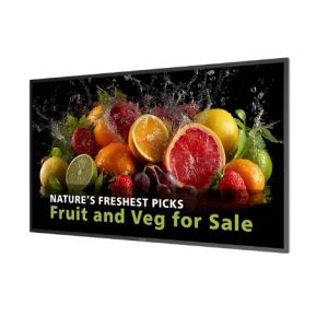 PHILIPS Signage Solutions seria 5000 (50BDL5050D/00)