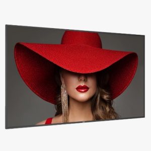 PHILIPS Signage Solutions Afişaj D-Line (50BDL4650D/96)