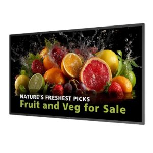 PHILIPS Signage Solutions seria 5000 (32BDL5050D/00)