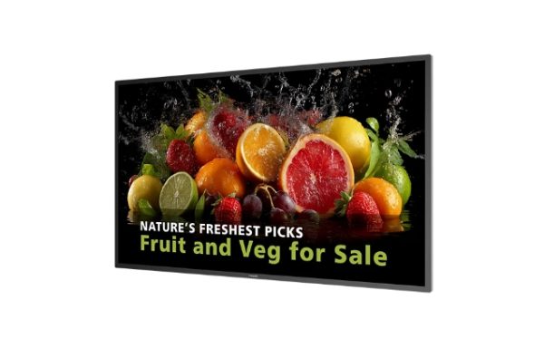 PHILIPS Signage Solutions seria 5000 (32BDL5050D/00)