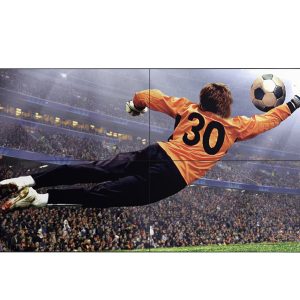 LG 49'' 500 nits FHD Slim Bezel Video Wall (49VL5G-M)