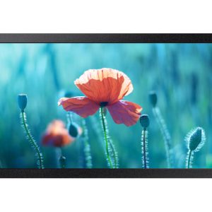 SAMSUNG Ecran QBR-M, Full HD, 13" (LH13QBRMBGCXEN)