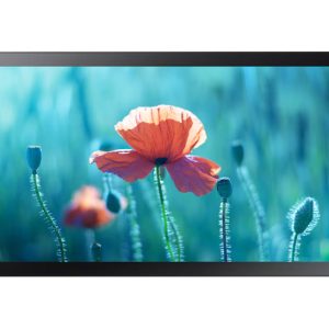 SAMSUNG Ecran interactiv, Full HD, 13" (LH13QBRTMGCXEN)