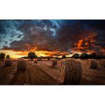 SAMSUNG Video Wall Seria VMB-U 55" (LH55VMBUBGBXEN)