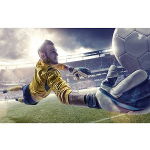 SAMSUNG Video Wall Seria IWR (LH008IWRMWS/EN)